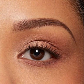 Professional Eyebrow and Microblading Service